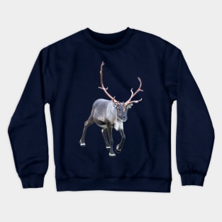 Santa Claus Reindeer Crewneck Sweatshirt